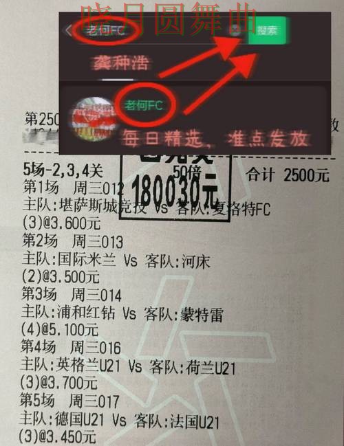 世界杯投注入口伤停信息对判断影响有多大实用指南 世界杯投注入口伤停信息对判断影响有多大实用指南